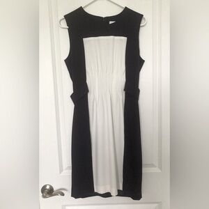 Calvin Klein Navy and White Sleeveless Dress Women’s size 6